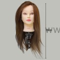 Główka Fryzjerska Treningowa Damska ze statywem 100% naturalne włosy 55cm