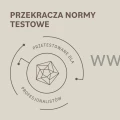BaByliss PRO Drying Wand 1600W BAB6880E Suszarka do włosów